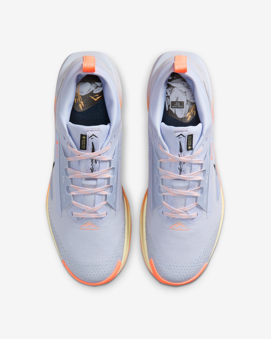 Nike Pegasus Trail 5 GTX