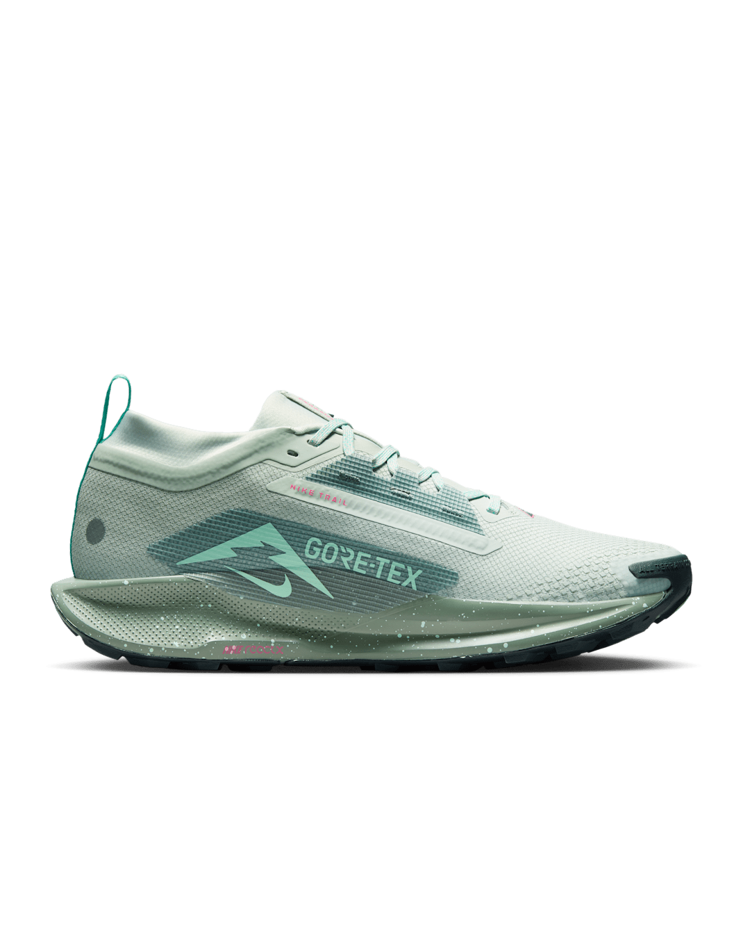 Nike Pegasus Trail 5 GTX